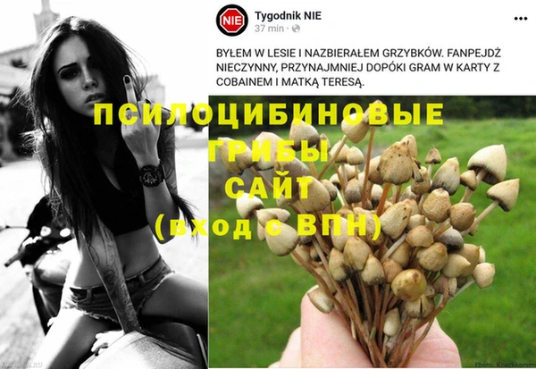 экстази Армянск