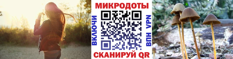 Галлюциногенные грибы ЛСД  Снежногорск 